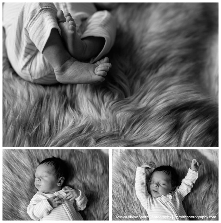 Newborn Portrait