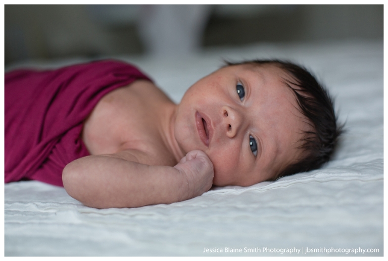 Newborn Portrait