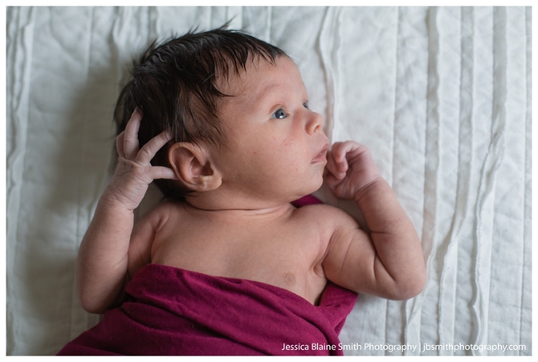 Newborn Portrait