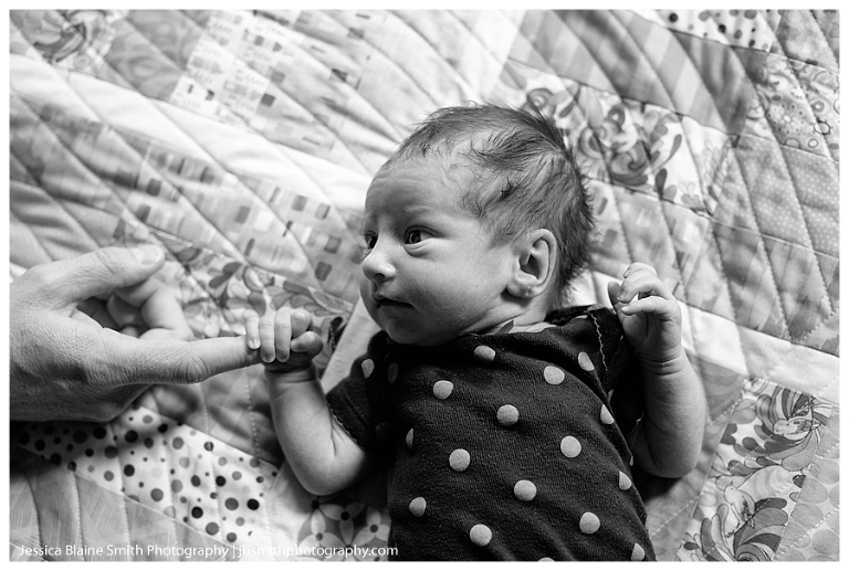 Newborn Baby Portrait