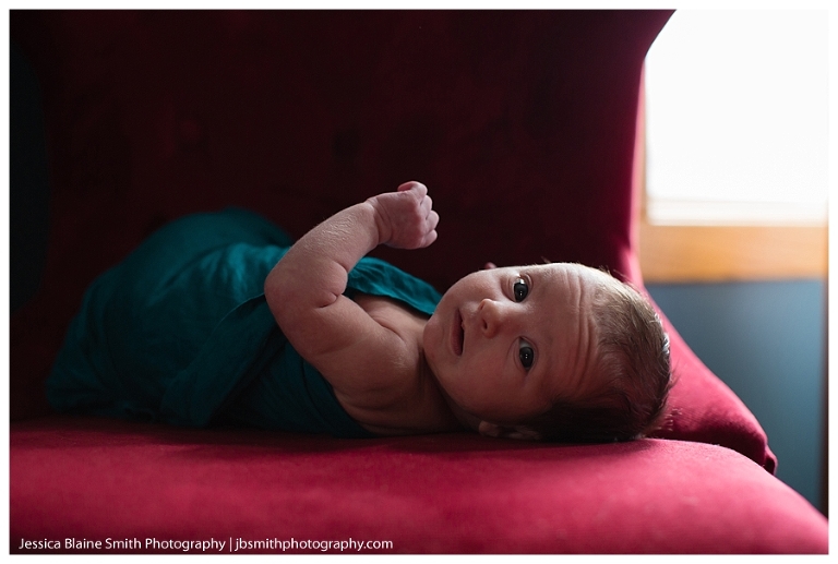 Newborn Baby Portrait