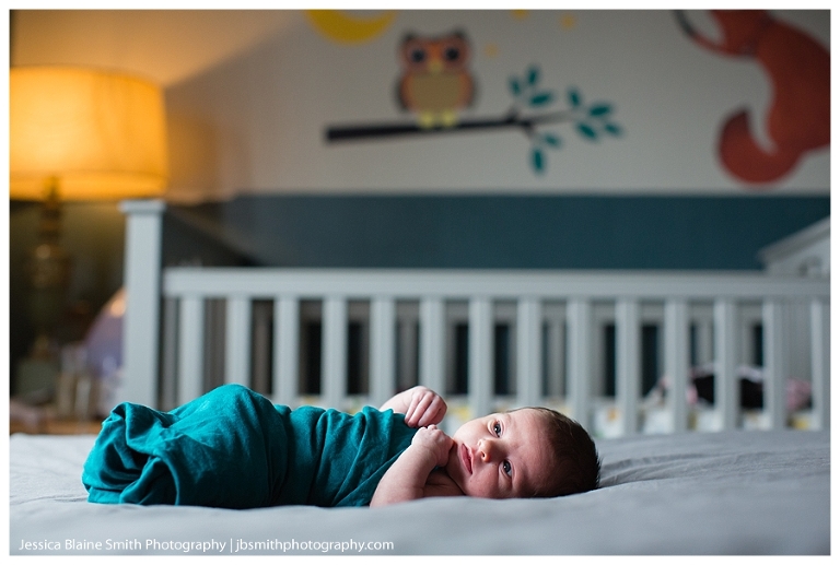 Newborn Baby Portrait