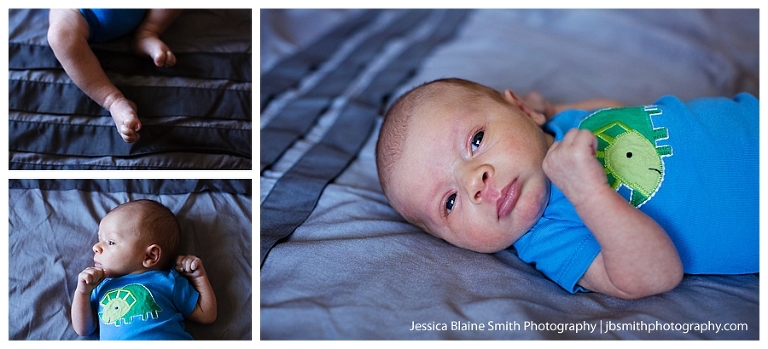 Newborn Portrait