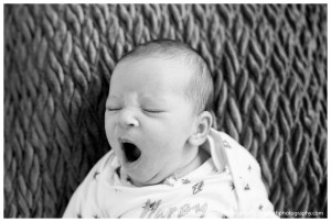 Two Weeks Old Portrait