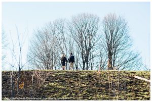 High Park Engagement Portrait