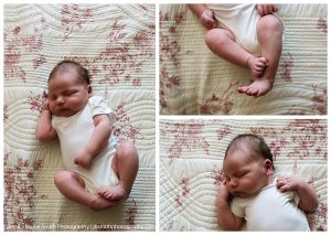 Toronto Newborn Portraits
