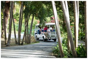 The Verandah Resort Antigua Wedding